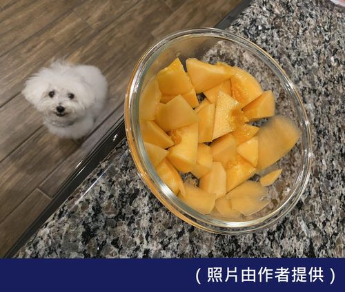 明光社